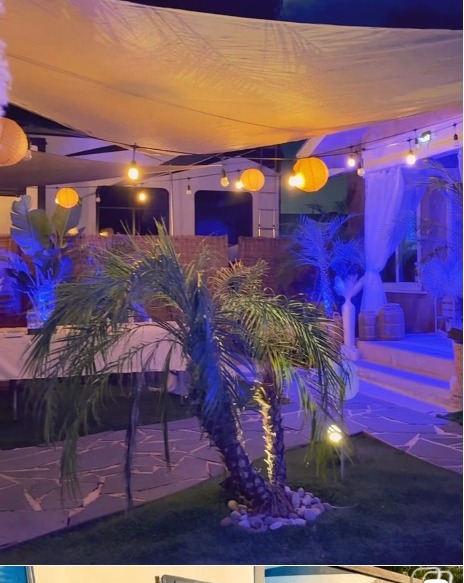 Palms and lanterns lit blue and gold at night